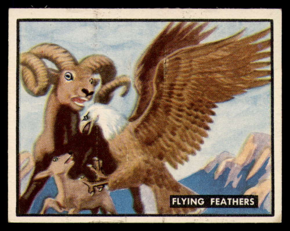 22 Flying Feathers